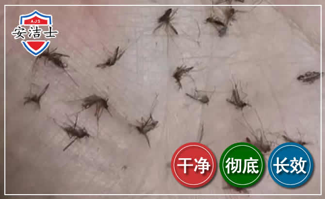 宁海蚊子防治-灭蚊