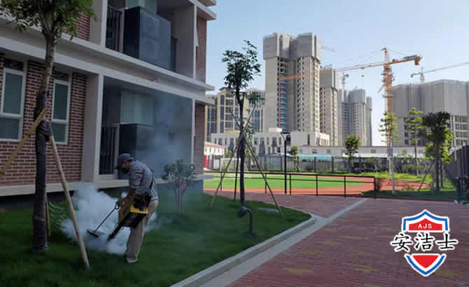 宁海工厂工地除白蚁