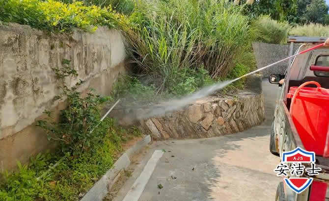 宁海道路堤坝白蚁防治
