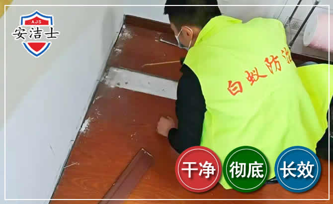 宁海除四害现场