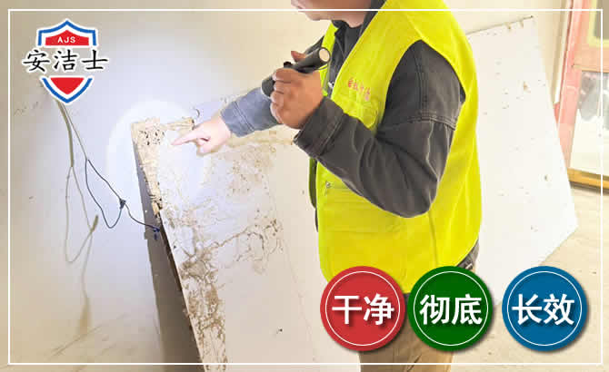 宁海除白蚁现场