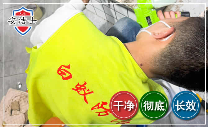 宁海白蚁根治现场